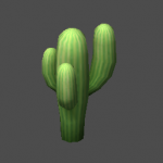 Cactus